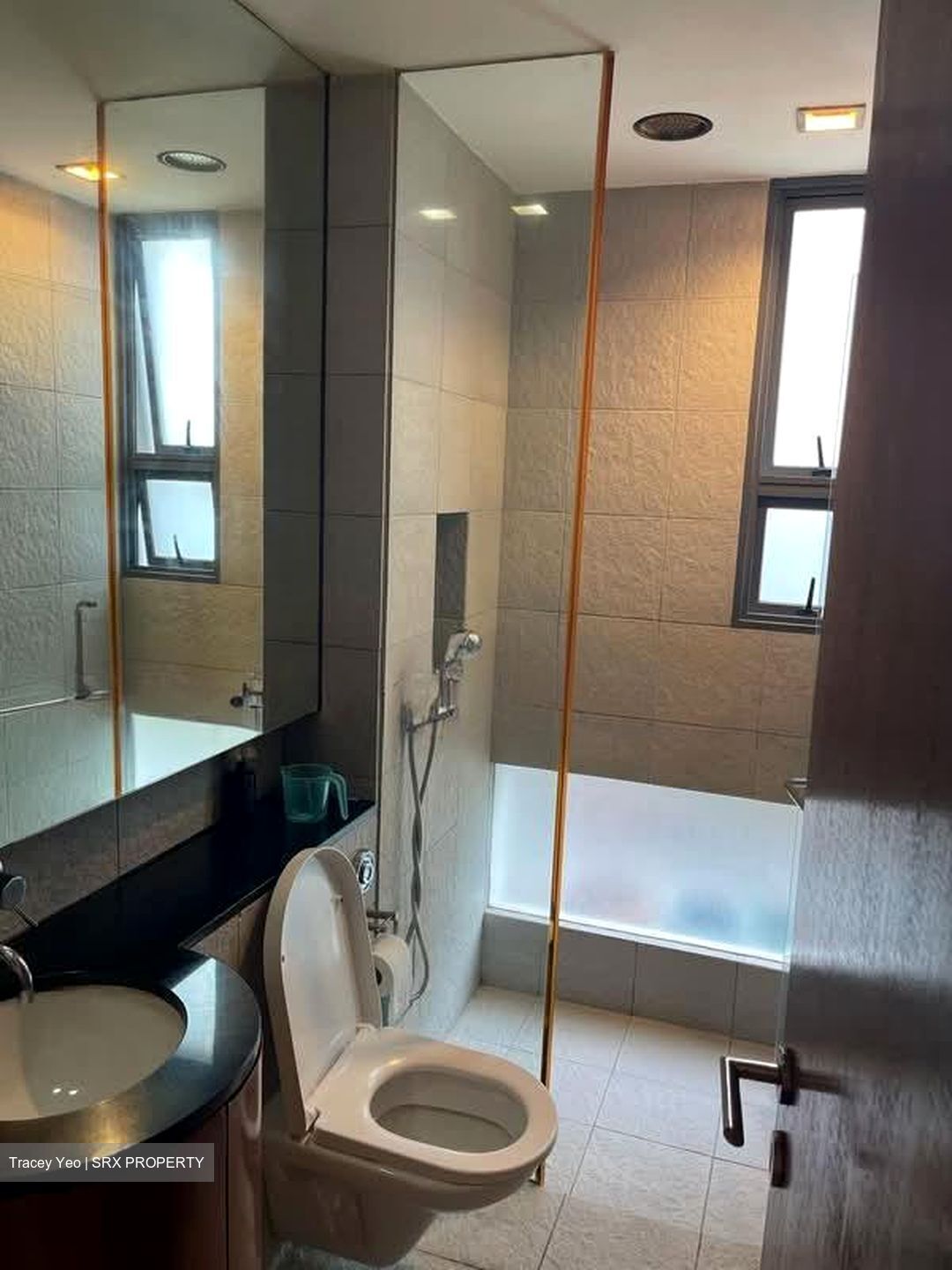 Jalan Hock Chye (D19), Semi-Detached #577188521